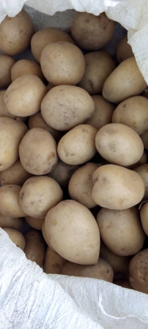 Potato Farm in Gurage arekt farm